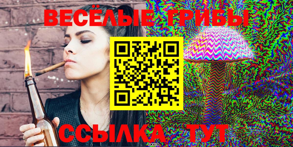 Галлюциногенные грибы Cubensis Каменск-Уральский